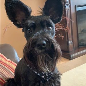 Meet your Posher, Colleen